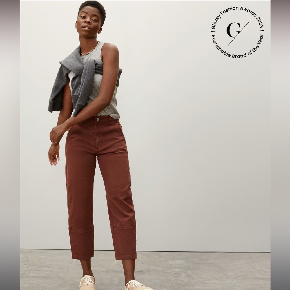 Everlane The Utility Barrel Pant